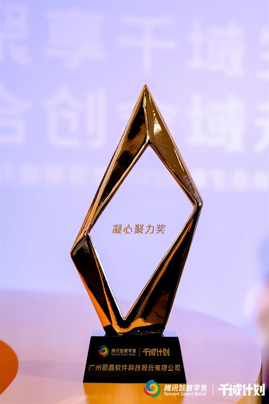 丽晶软件获颁腾讯智慧零售千域计划·凝心聚力奖6.jpg